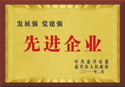 嘉兴市先进企业